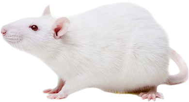 PA电子)官网