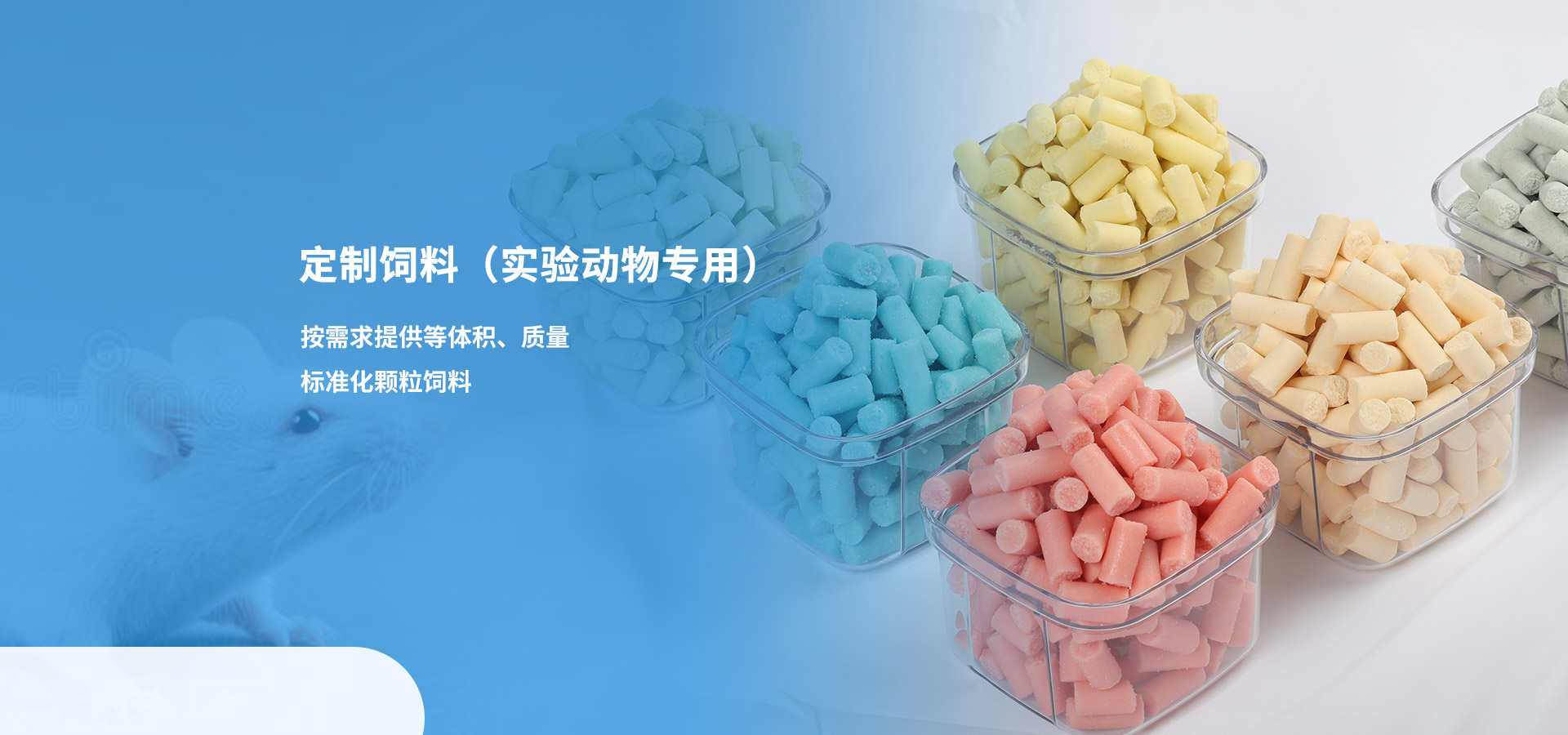 PA电子)官网