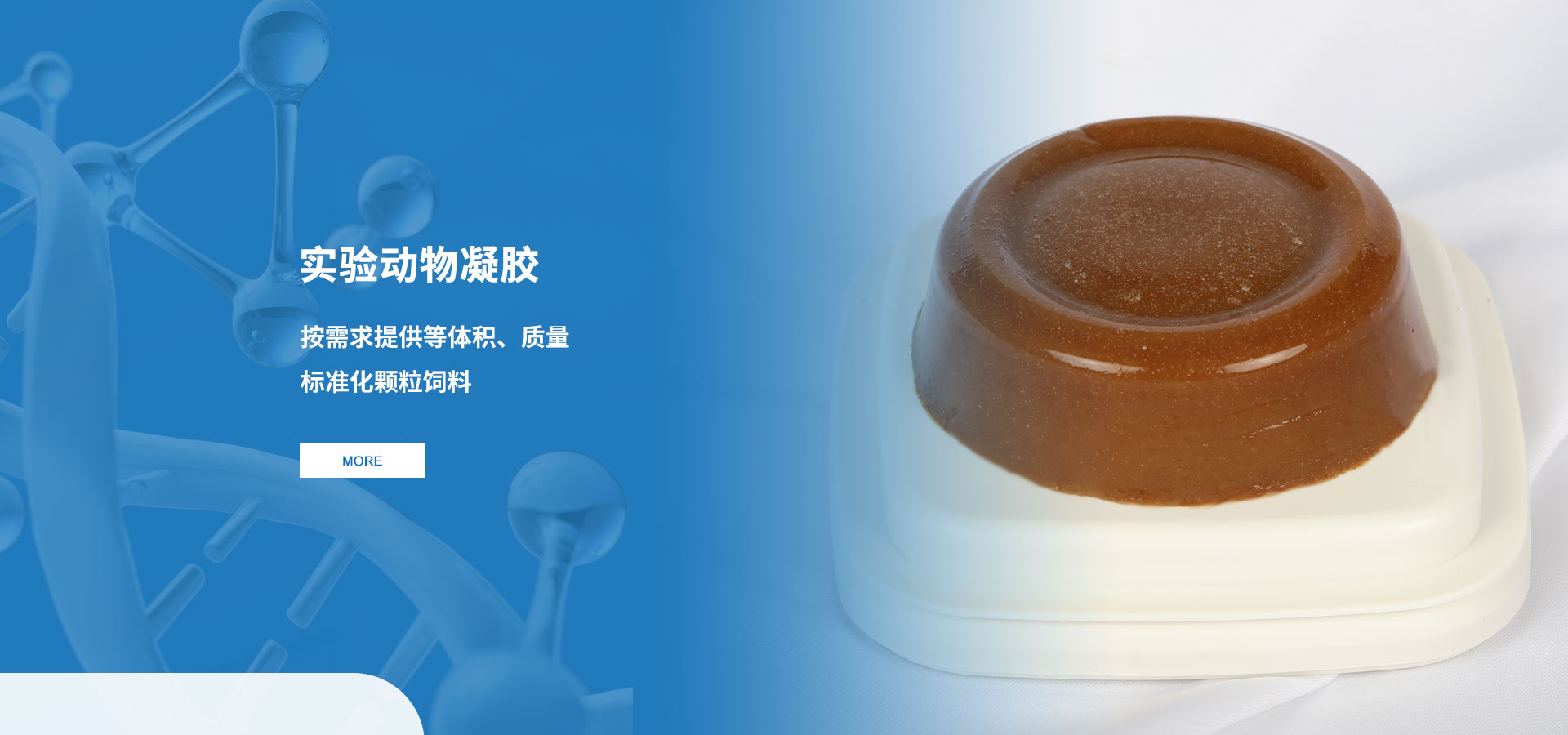 PA电子)官网